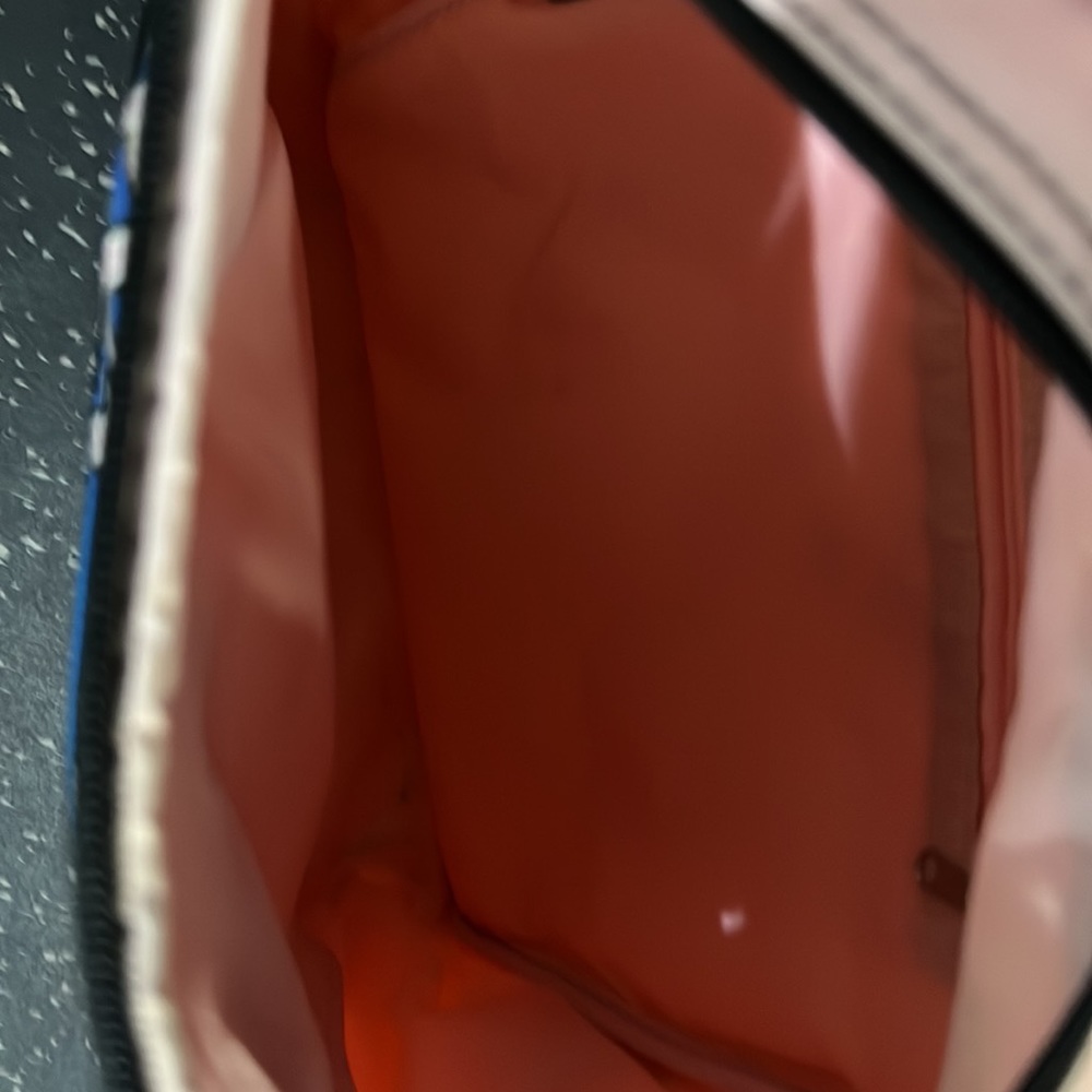 Disney Sleeping Beauty Aurora Crossbody Bag - image 6